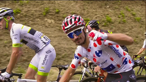 Cyclisme sur route vs cyclisme sur piste : différences de règles, vélos et formats de course expliquées